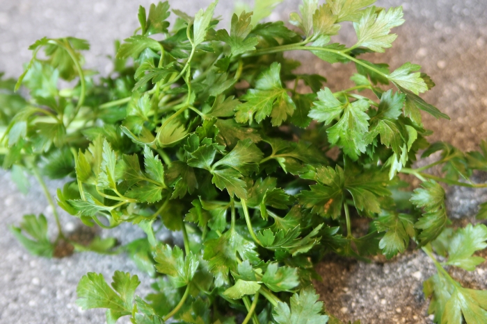 parsley