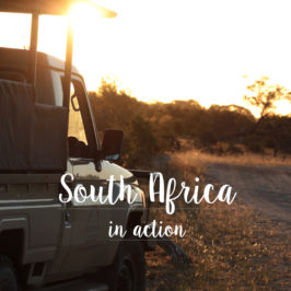 South Africa – Kruger National Park