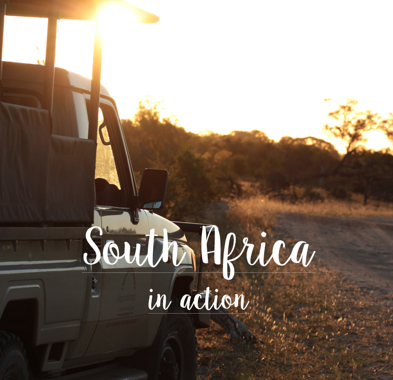 South Africa – Kruger National Park